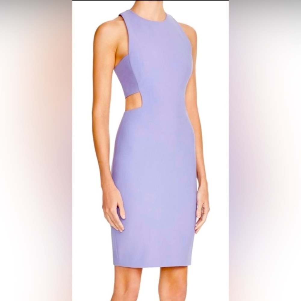 ELIZABETH & JAMES Phoenix Jersey Dress